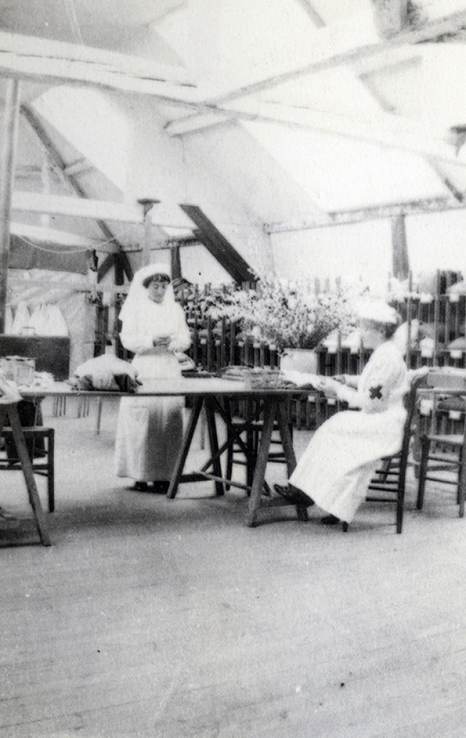 Hospital Wildflowers