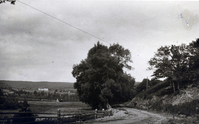 Margaree