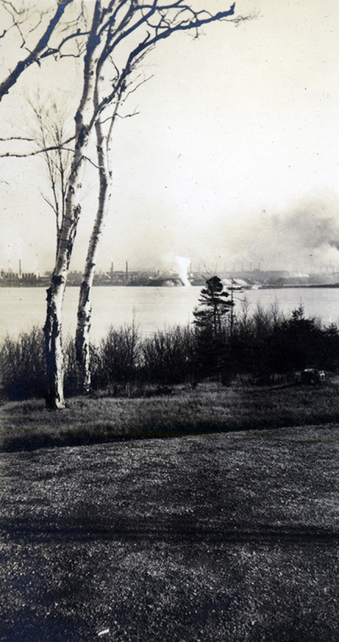 View of the Steel Plant from Petersfield